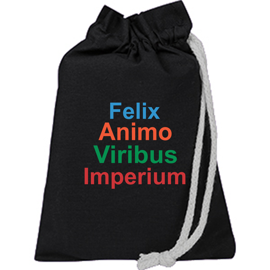 Q-tees Passport Drawstring Bag, Full Color